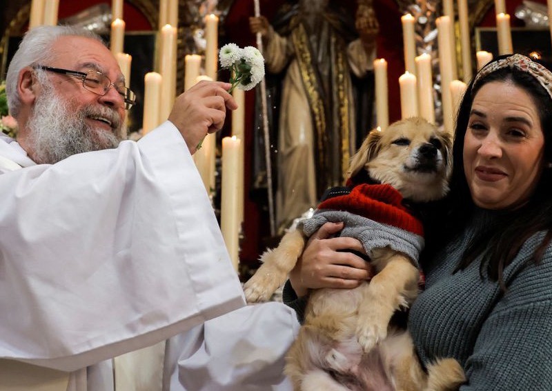 Spanish pets blessed by priests in annual ritual