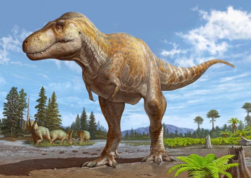 Scientists conclude New Mexico fossil is new Tyrannosaurus species