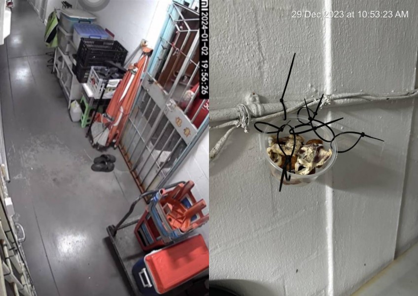 'He's playing mind games': Man allegedly harassed by neighbour hanging rotten food along corridor every day