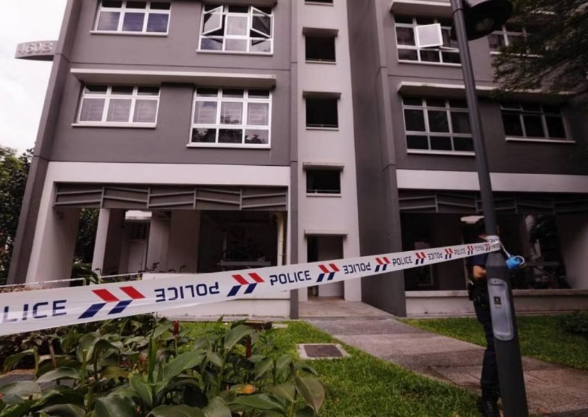 Bukit Batok murder: 5-year-old boy was fostered out, getting ready to live with mum permanently