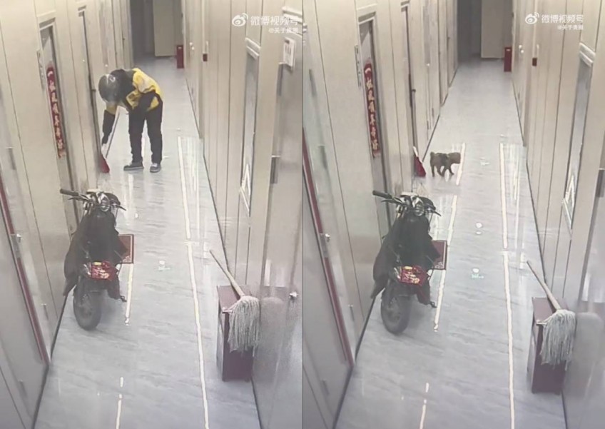 Woman in China sniffs out culprit who peed on her food