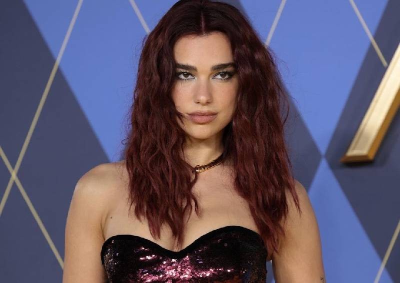 Dua Lipa reveals plans to do more with her life than music
