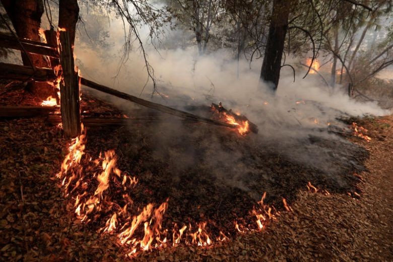 'My kids are deceased': US wildfire kills 2 children, 4 others 