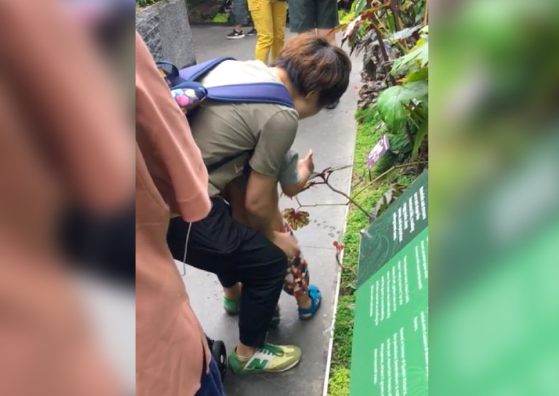 Clip of boy peeing into plants at Gardens by the Bay angers Singaporeans
