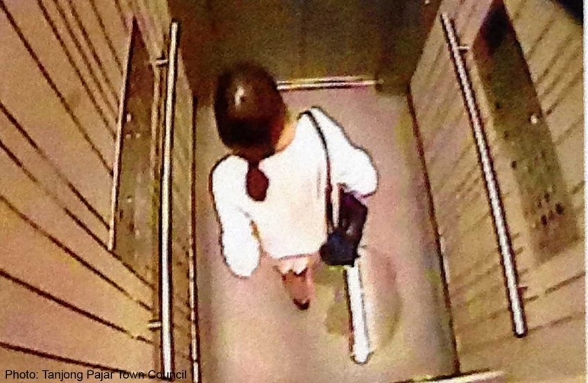 Woman caught urinating in Pinnacle lift