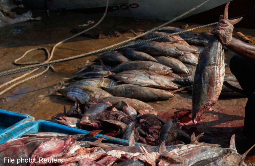 Pacific nations look to increase tuna fishing fees