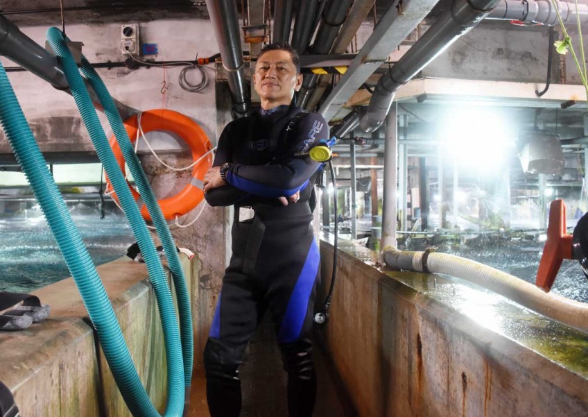 Underwater World diver sad to leave his 'babies'