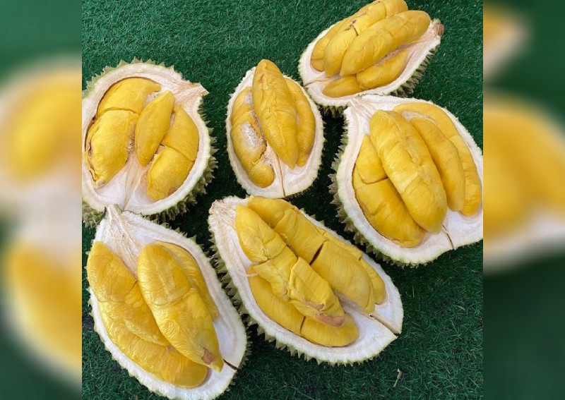 Durian delivery services Singapore: Which is the cheapest?