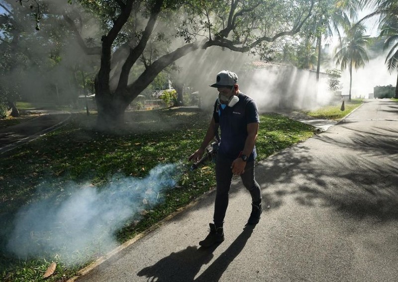 New dengue strains which accounted for more than half of the cases in Singapore this year could raise risk of larger outbreak: Experts 