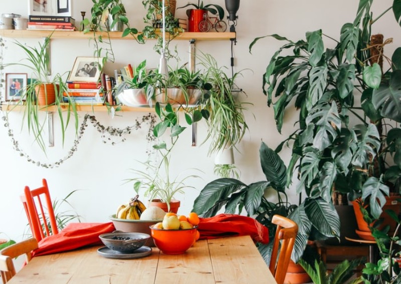 How to go green on a budget - and save $500/month