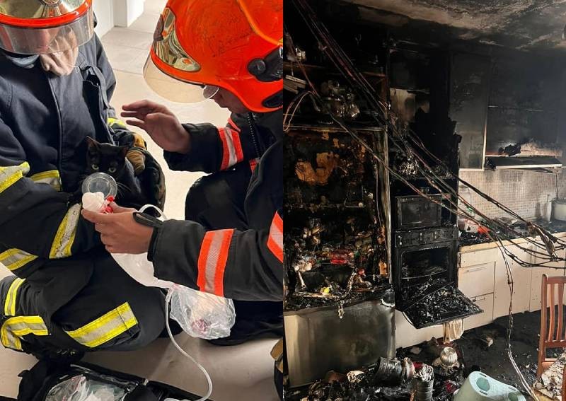 Fire breaks out at Jurong East flat, with 1 infant sent to hospital and 2 cats rescued 