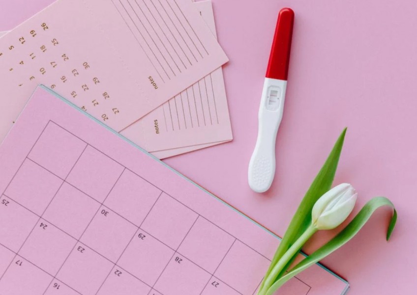 Ovulation tracking: How to use this method to better plan a pregnancy