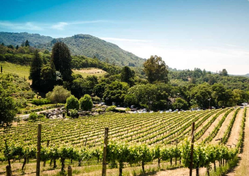 California Wine Month 2023: Where to go in Singapore for a taste of California's best
