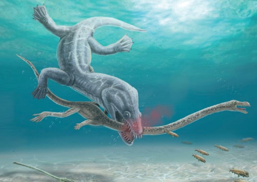 Fossils show ancient long-necked sea beast's 'gruesome' decapitation