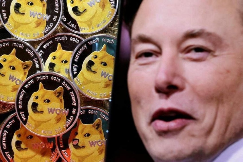 Elon Musk accused of insider trading by investors in cryptocurrency Dogecoin lawsuit