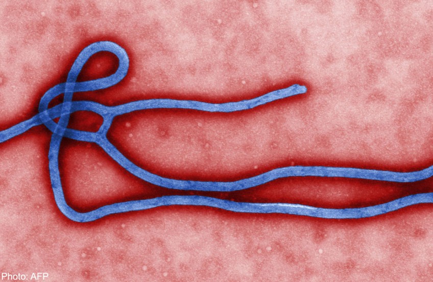 Liberia shuts border crossings, restricts gatherings to curb Ebola spreading
