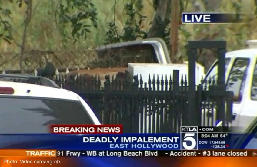 California man fatally impaled on fence after falling from tree