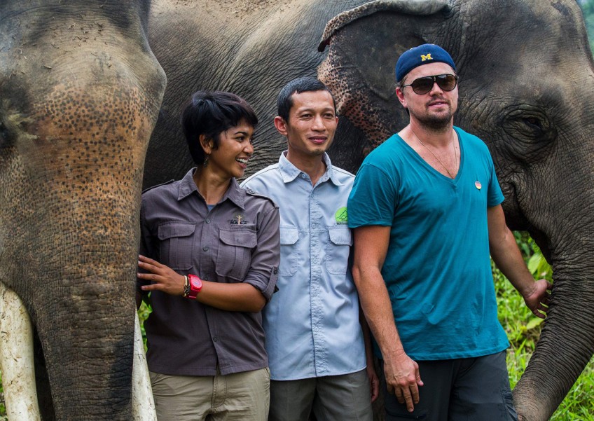 DiCaprio visits Indonesian jungle to support environmentalists