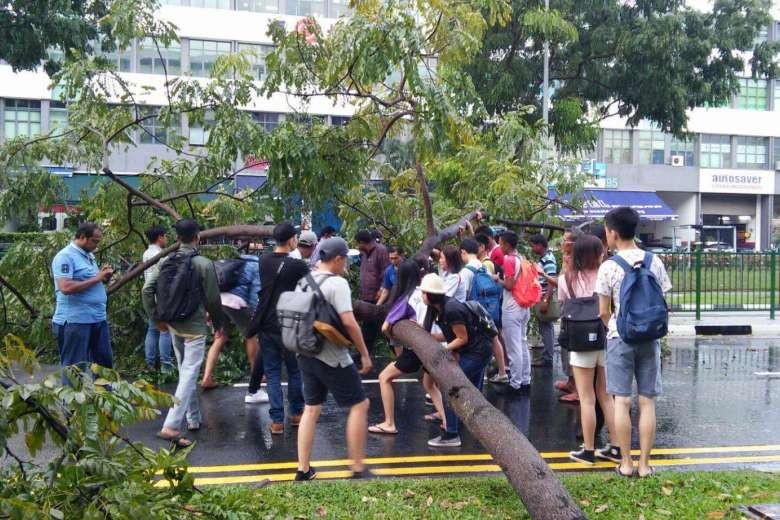 Passers-by exhibit 'kampung spirit', work together to remove tree that fell along Kaki Bukit
