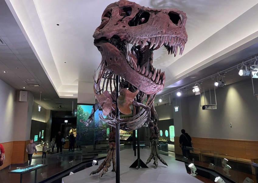 For T-Rex and kin, it was a stiff upper lip, not a toothy grin