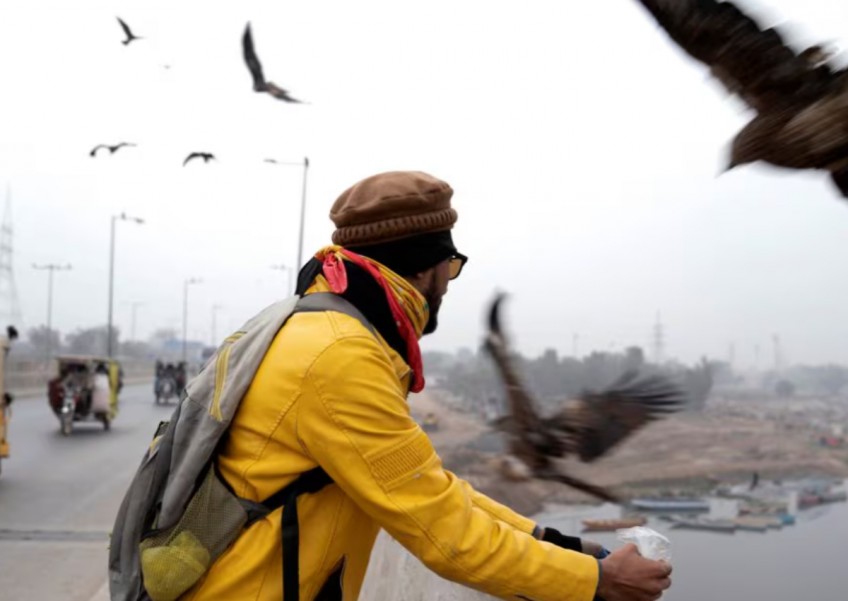 Pakistanis feed predatory birds despite crackdown on practice