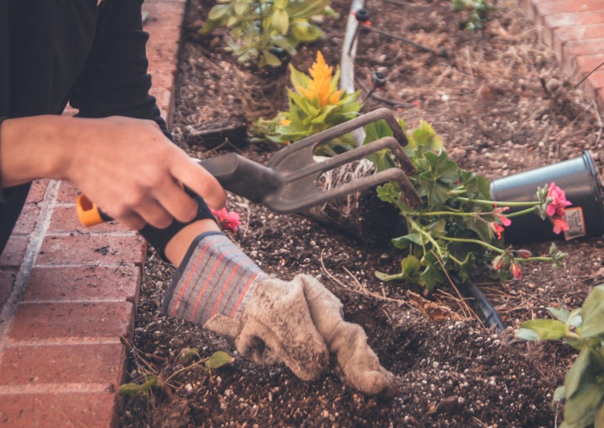 Can gardening be beneficial for persons with dementia?