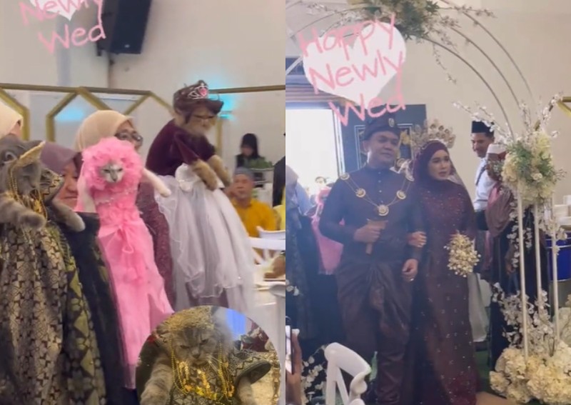 Furry felines go on bridesmaid duty at this wedding in Malaysia