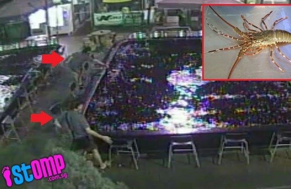 Men sneak into prawning outlet and restaurant at 2am to steal lobsters