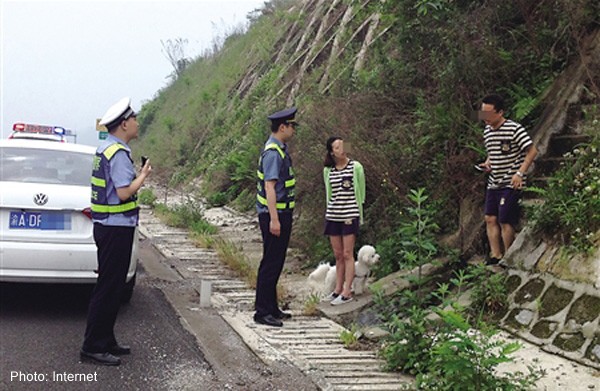 Woman risks collie-sion with China motorway dog walk: Xinhua