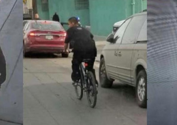 Homeless man arrested over bike-riding slasher attacks in Los Angeles