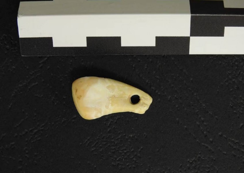 The pendant is 20,000 years old. Ancient DNA shows who wore it