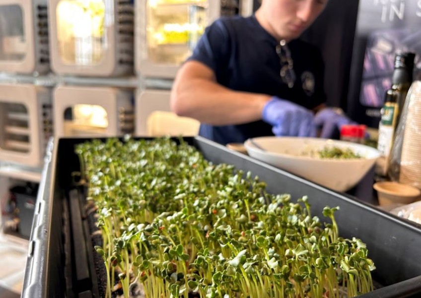 Nasa looks to spice up astronaut menu with deep space food production