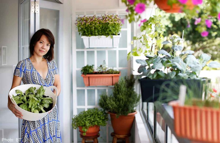Urban farmers: Growing own greens fast becoming food trend in S'pore
