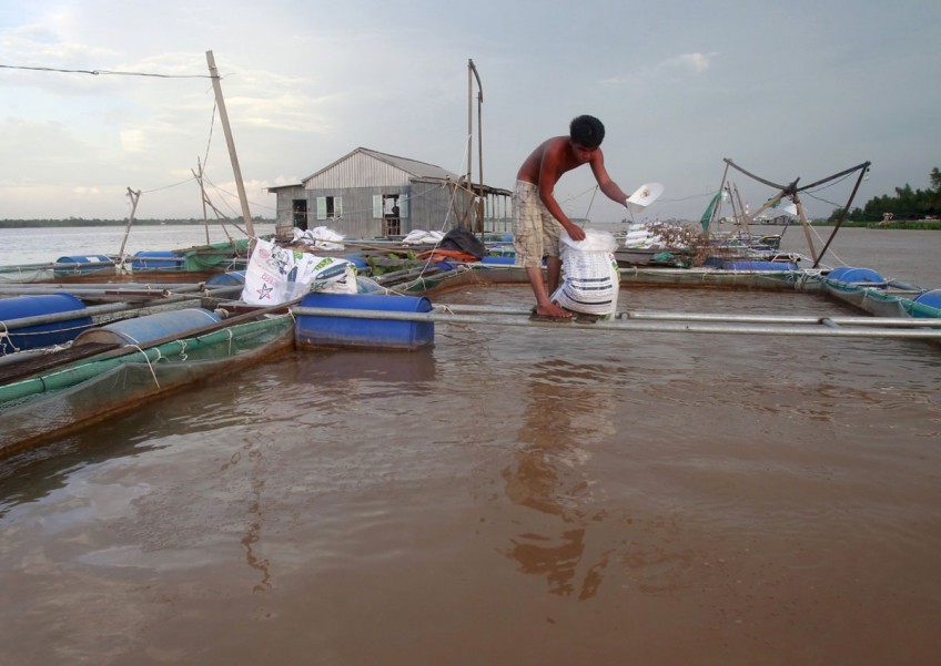 Mekong dams 'a grave threat to river'