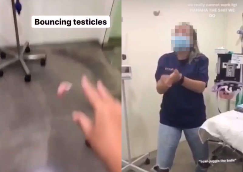 Nurses film own antics at animal clinic, animal lovers demand action,  Singapore News - AsiaOne
