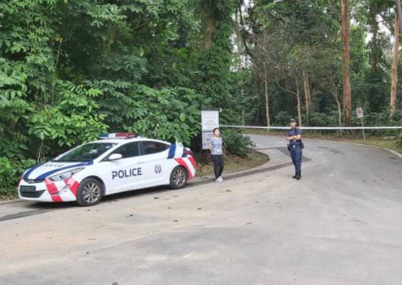 Woman and 5-year-old son found dead near Bukit Batok Nature Park