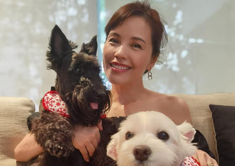 'An inevitable process': Zoe Tay on ageing naturally and not going for beauty adjustments