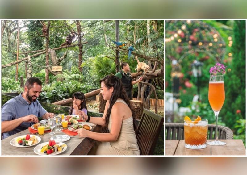 Places in Singapore to have a meal surrounded by nature and the wild