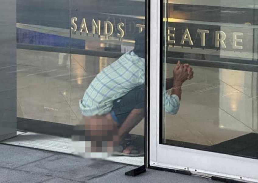 Police investigating man spotted defecating on floor at MBS entrance