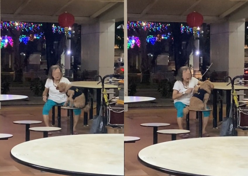 SPCA escalates case to authorities after elderly woman seen waving cane and threatening dog in Pek Kio market 