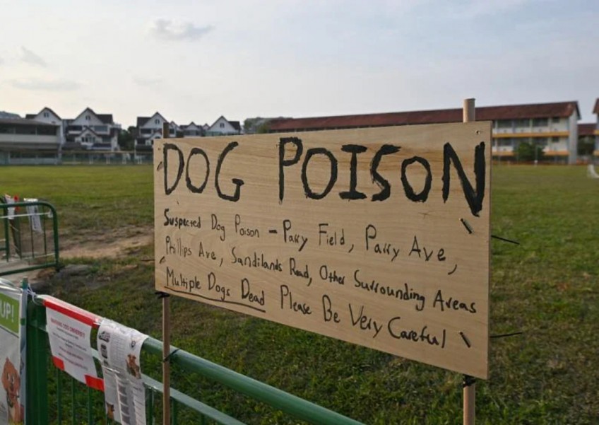 Authorities investigating dog deaths at field in Kovan
