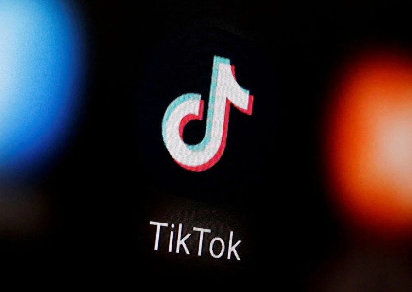 TikTok in talks with Indonesian e-commerce firms about partnerships: Minister