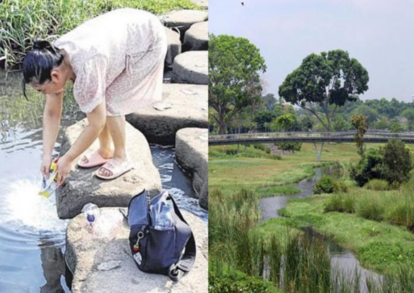 Woman seen 'feeding fish' at pond of Bishan-Ang Mo Kio Park, says it's 'expired milk powder'