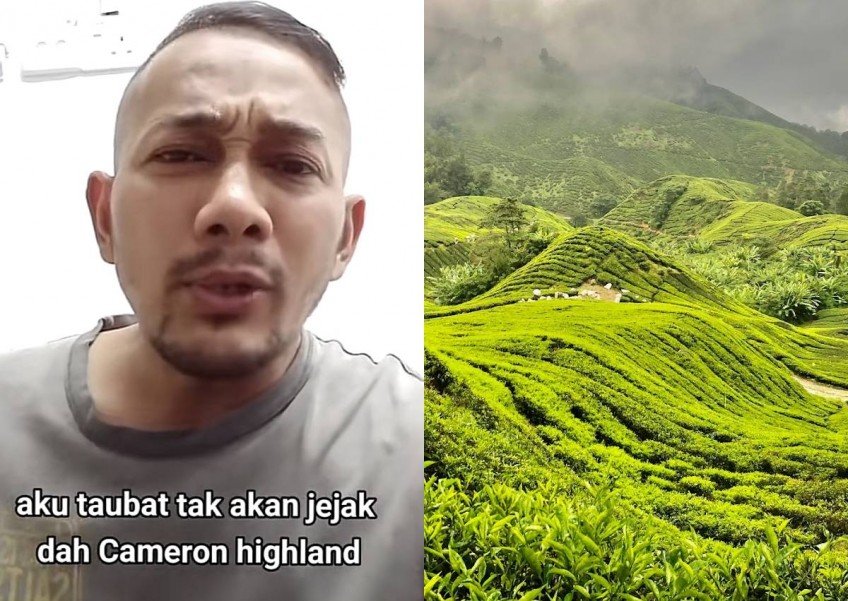 'You can't be for real': Malaysian vows never to return to Cameron Highlands after overpriced meals and homestay