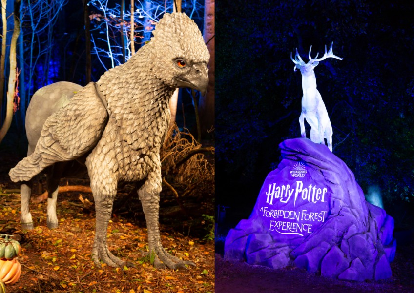 Potterheads, ready your wands: A new Harry Potter experience is coming to Sentosa in February