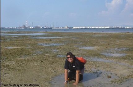 Seagrass researcher lauded as environment champion