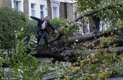 Falling tree kills teenage girl in British storm