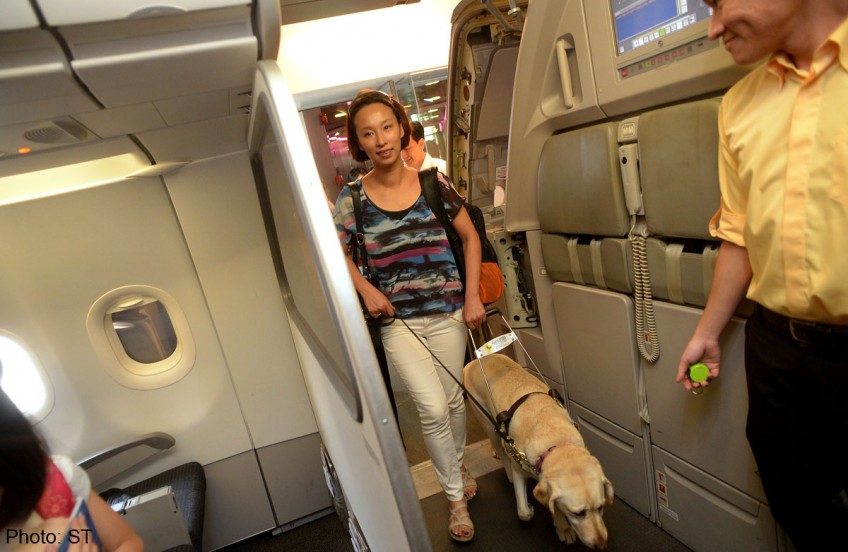 Guide dogs now welcome on Tigerair