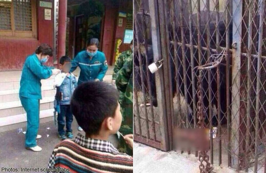 Boy's arm ripped off by bear in China zoo
