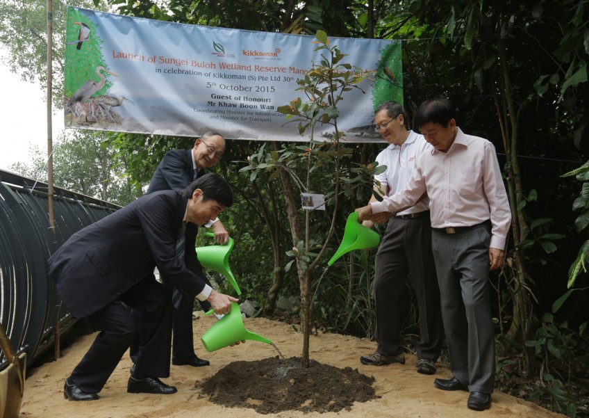 Sungei Buloh gets new mangrove conservation area